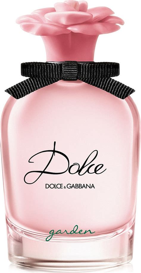 dolce gabbana dolce 30ml|Dolce & Gabbana dolce women perfume.